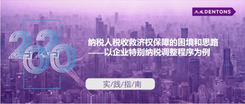納稅人稅收救濟權(quán)保障的困境與思路——以企業(yè)特別納稅調(diào)整程序為例