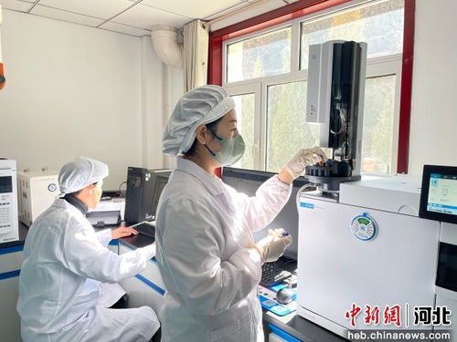 以科技創新為引擎，厚植新質生產力發展根基 河北寬城的技術開發之路